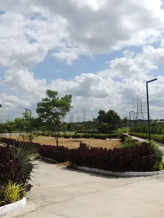 BOTANICA