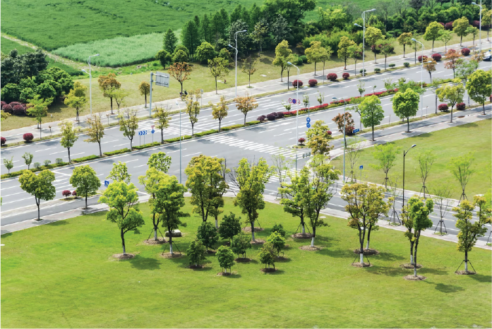 Green Spaces and Thoughtful Community Planning