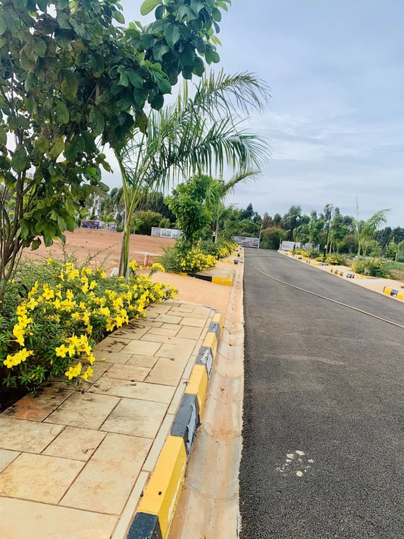 ADITYA PALM GROVE